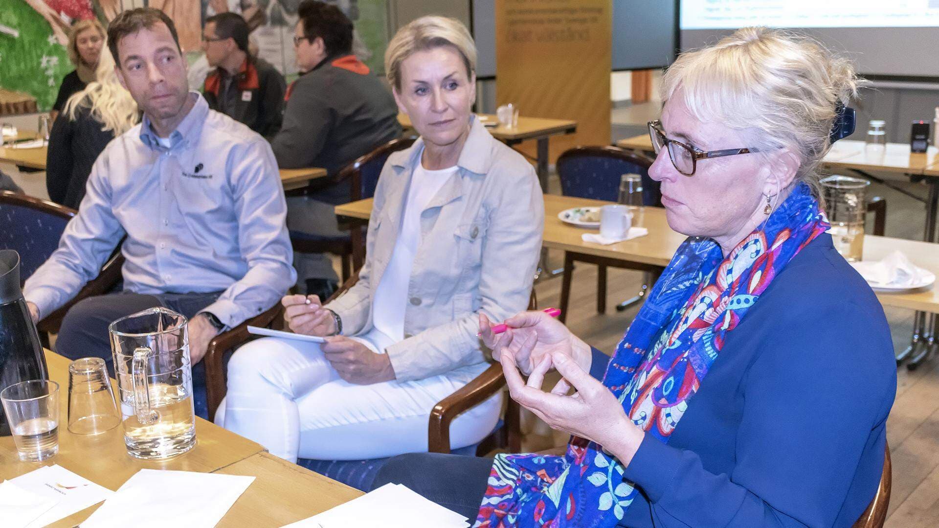 Kristoffer Persson, Ingela Håkansson och Irene Robertsson.