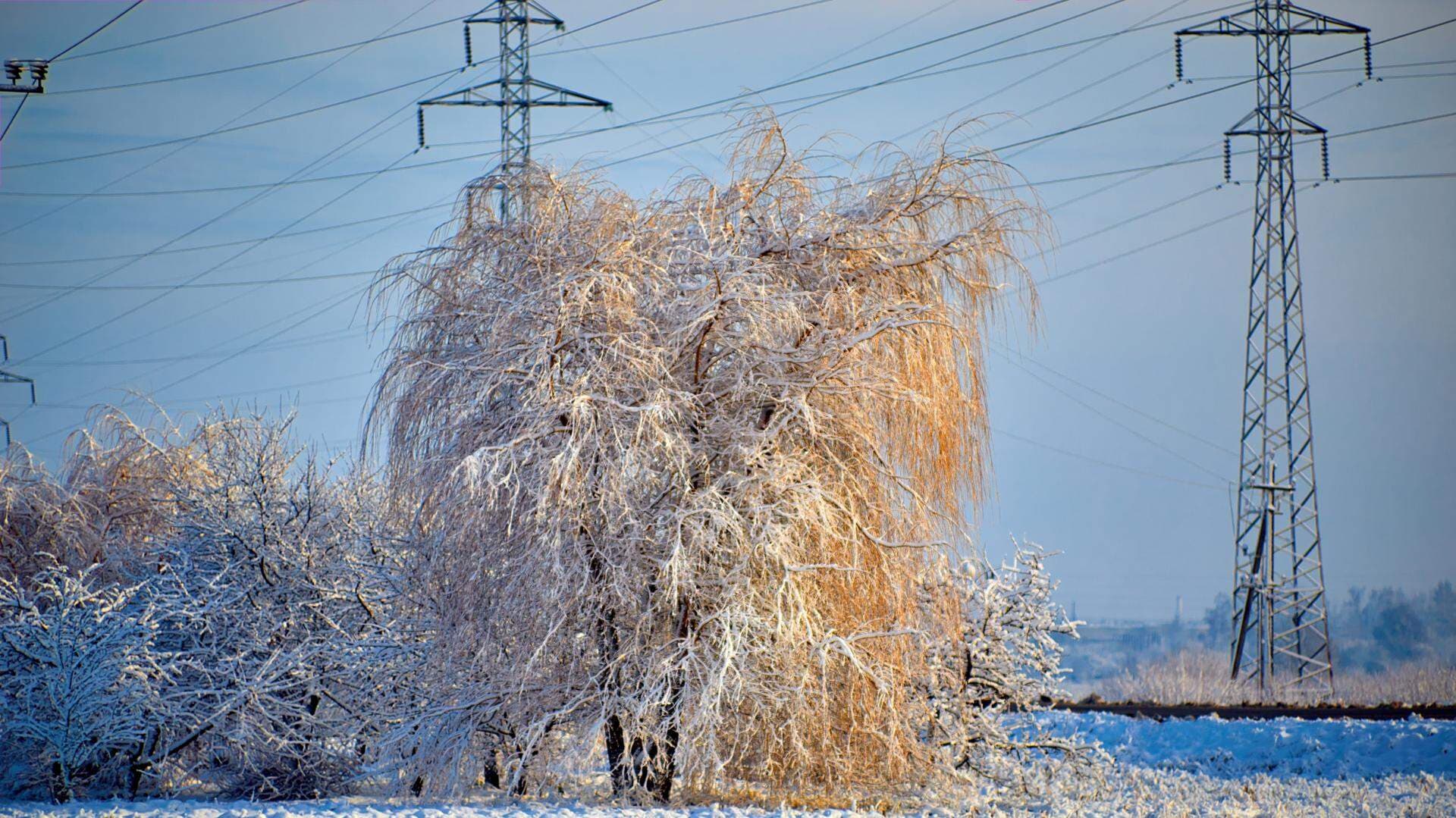 Kraftledning på vintern