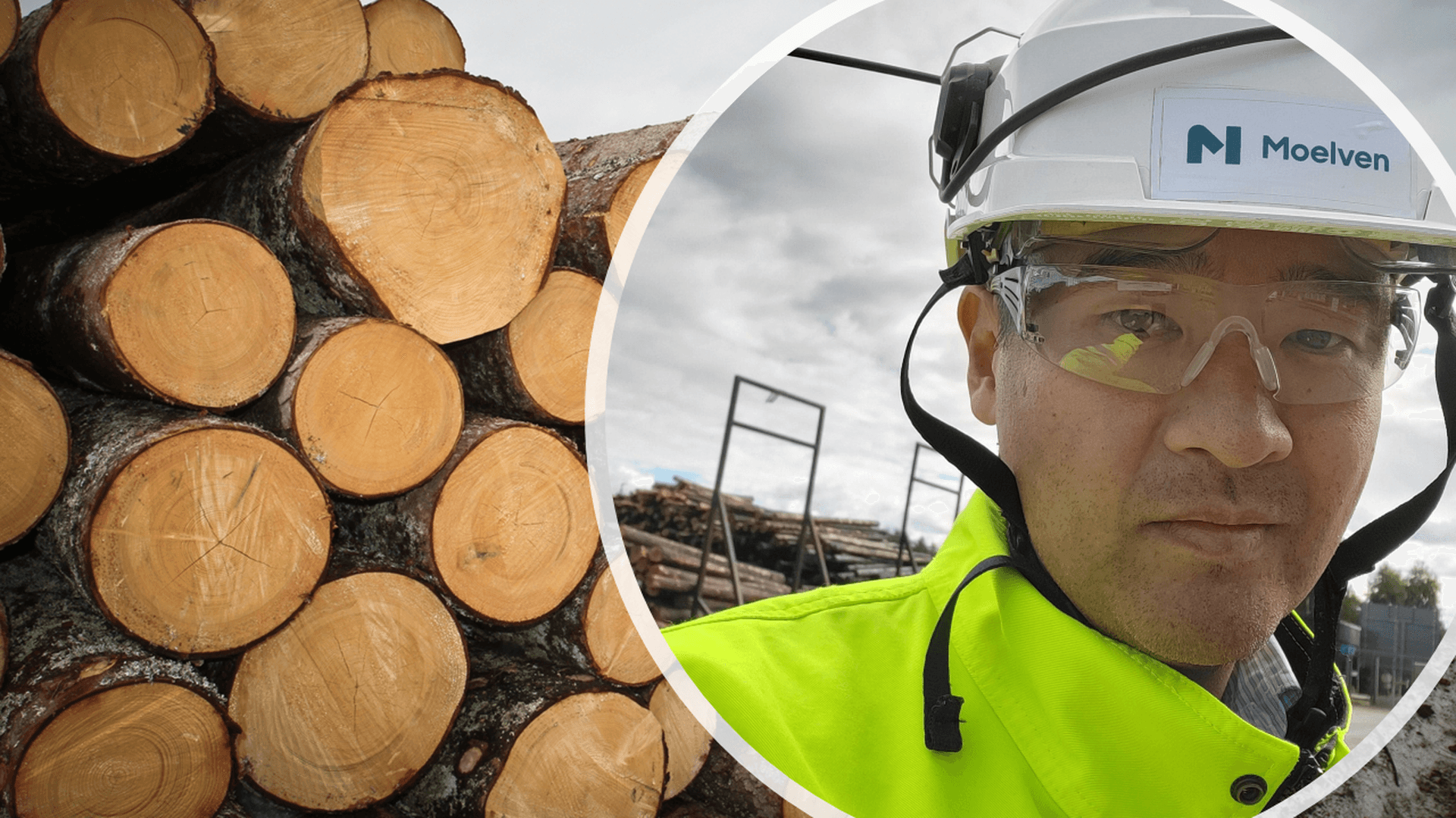 Kollage: foto av timmer och en porträttbild av Erik Lindén