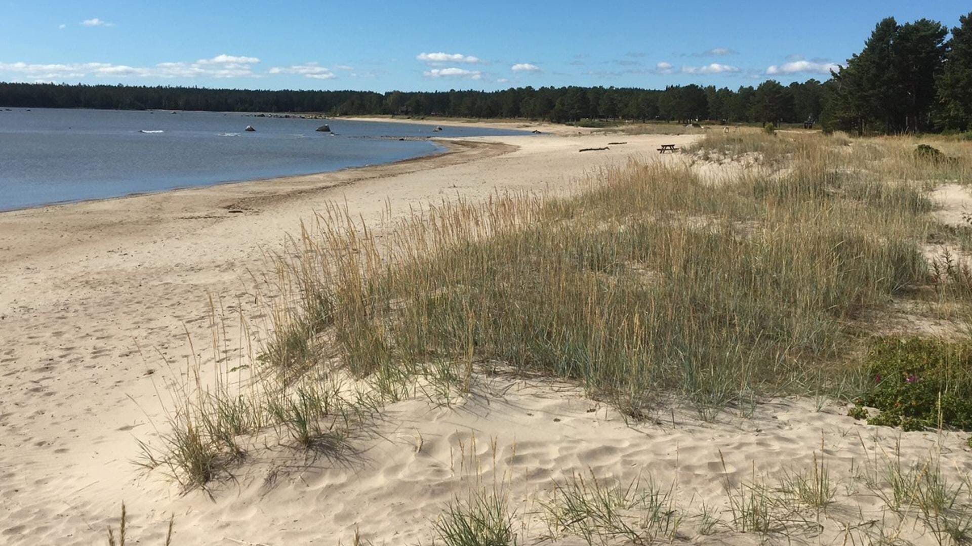 Badstrand vid Sörfjärdens Camping
