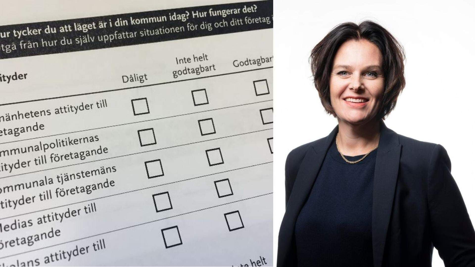 Ulrica enkät