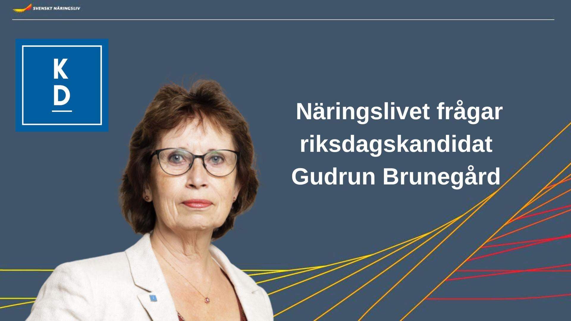 KD politiker