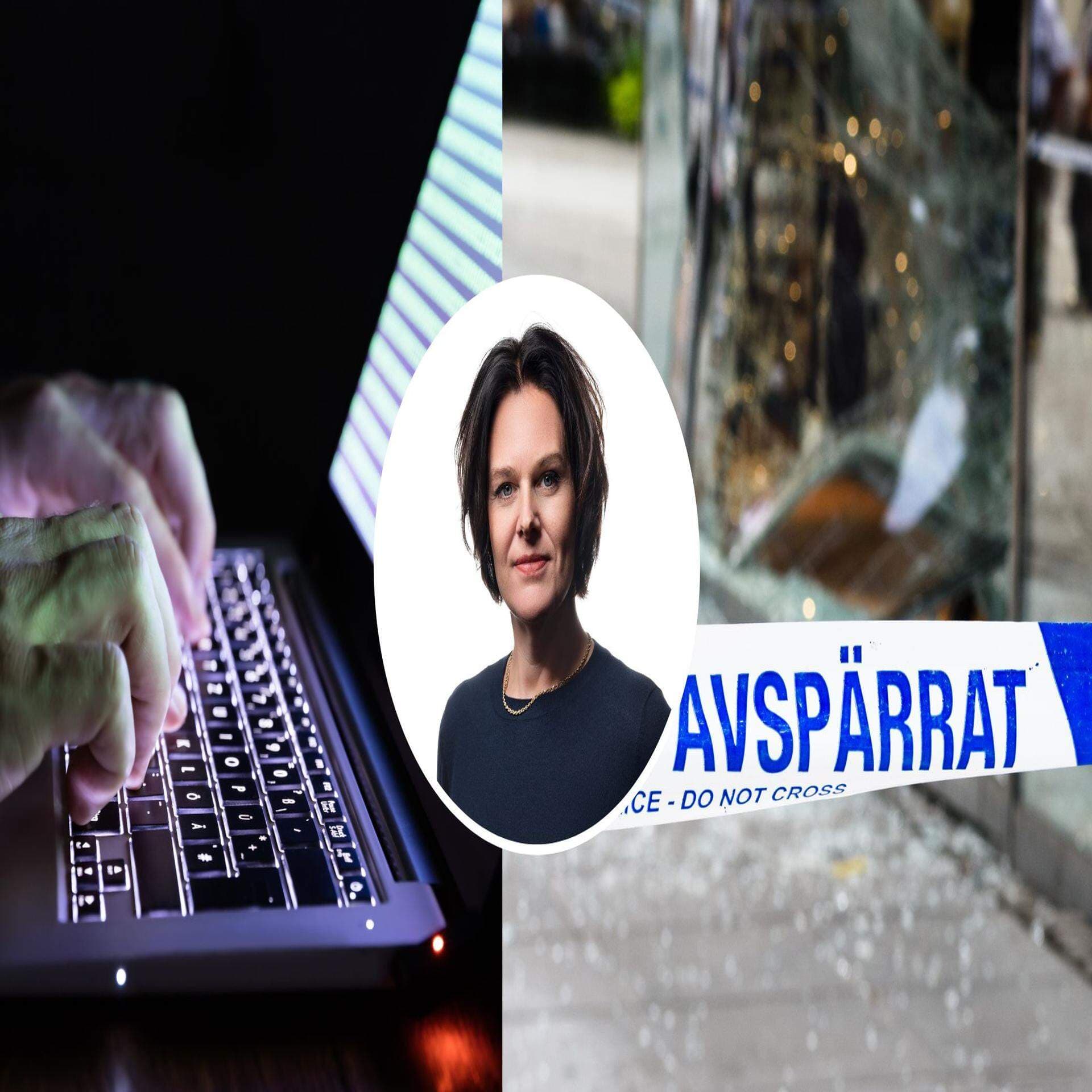 Brott och otrygghetsartikel – polis och dataintrång