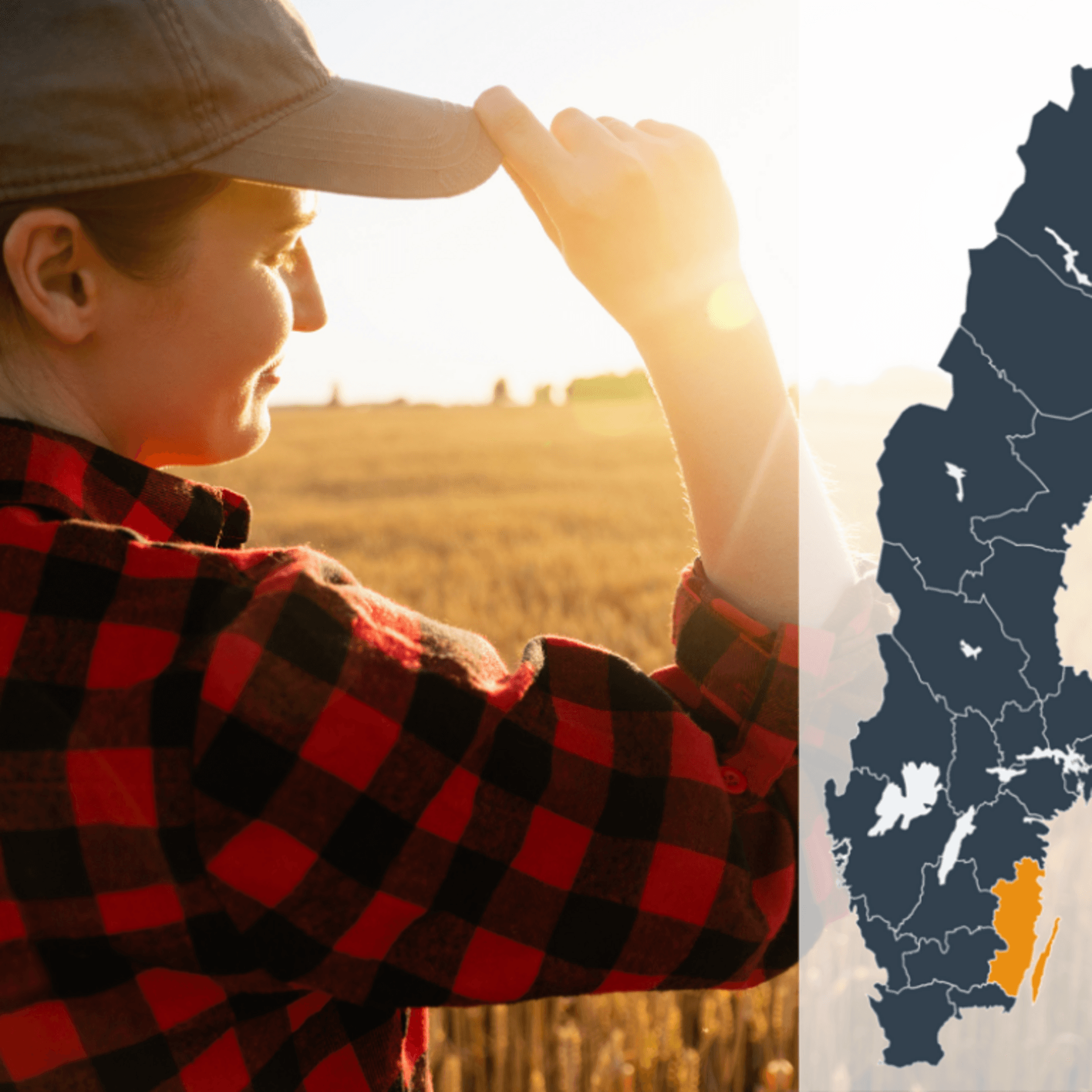 Kollage av en person som blickar ut över ett gult fält tillsammans med en Sverigekarta där Kalmar län är markerat