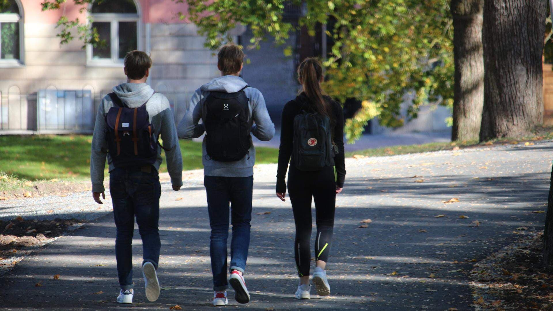 grundskoleelever