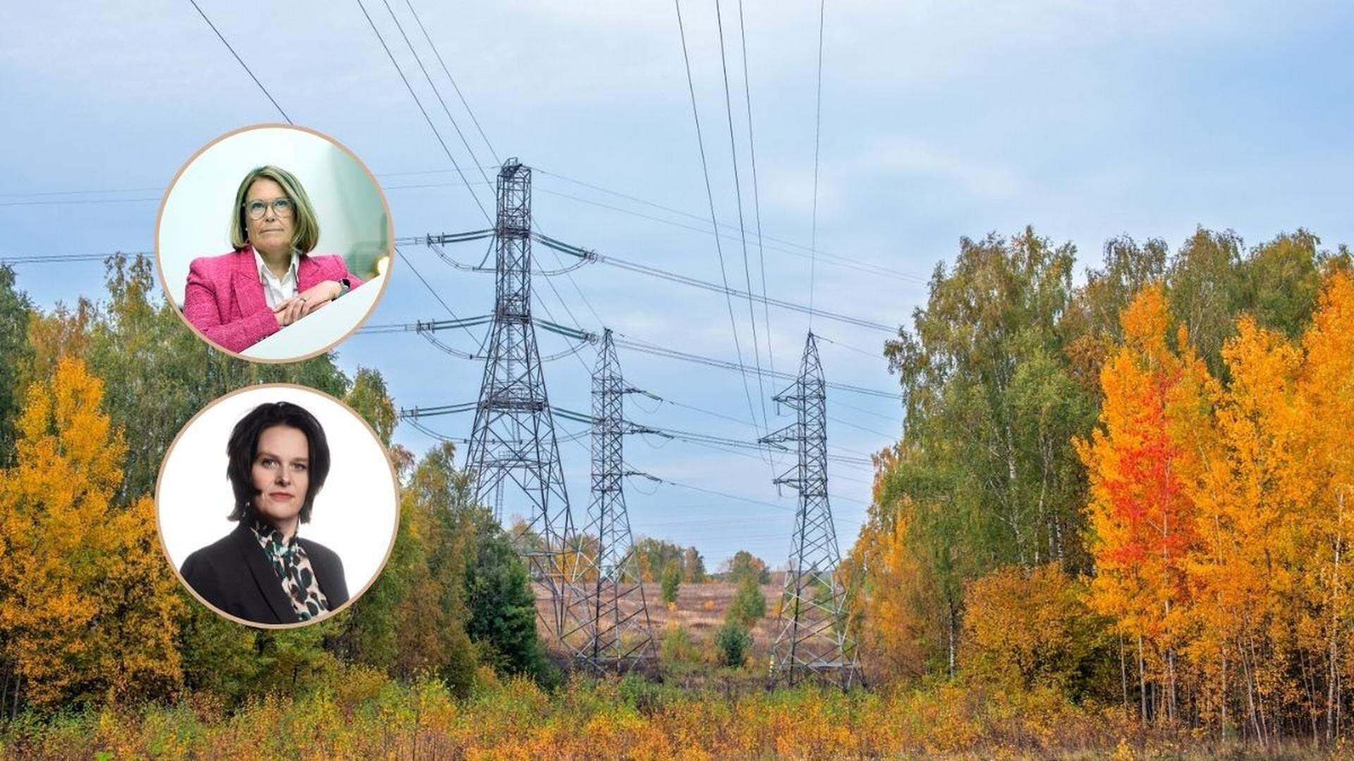 Karin Johansson och Ulrica Bennesved el och regelkrångel artikel