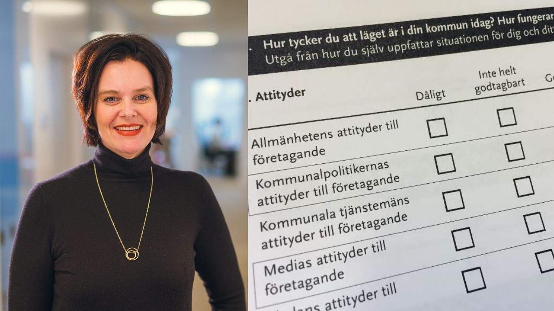Ulrica enkät