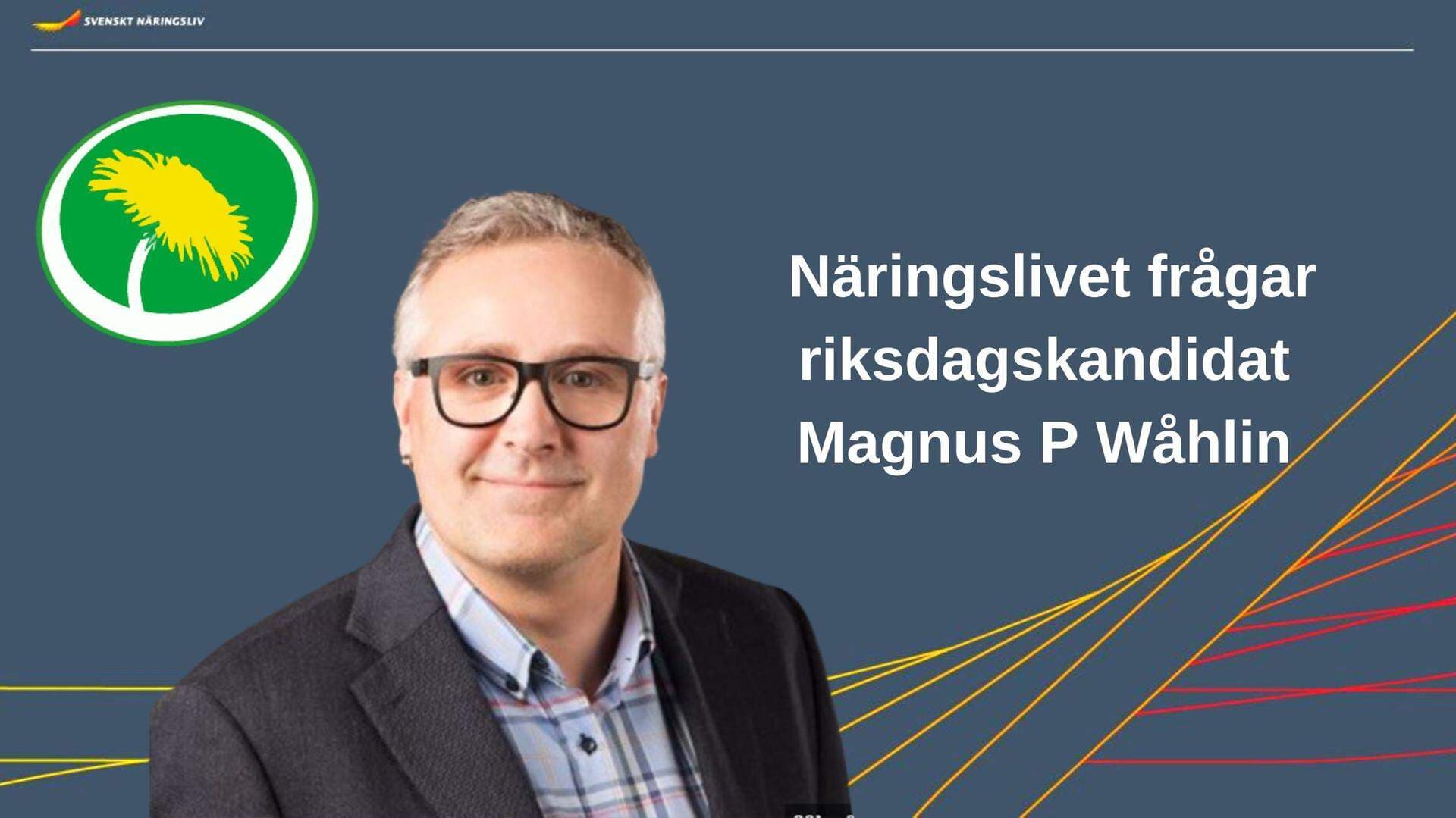 MP politiker