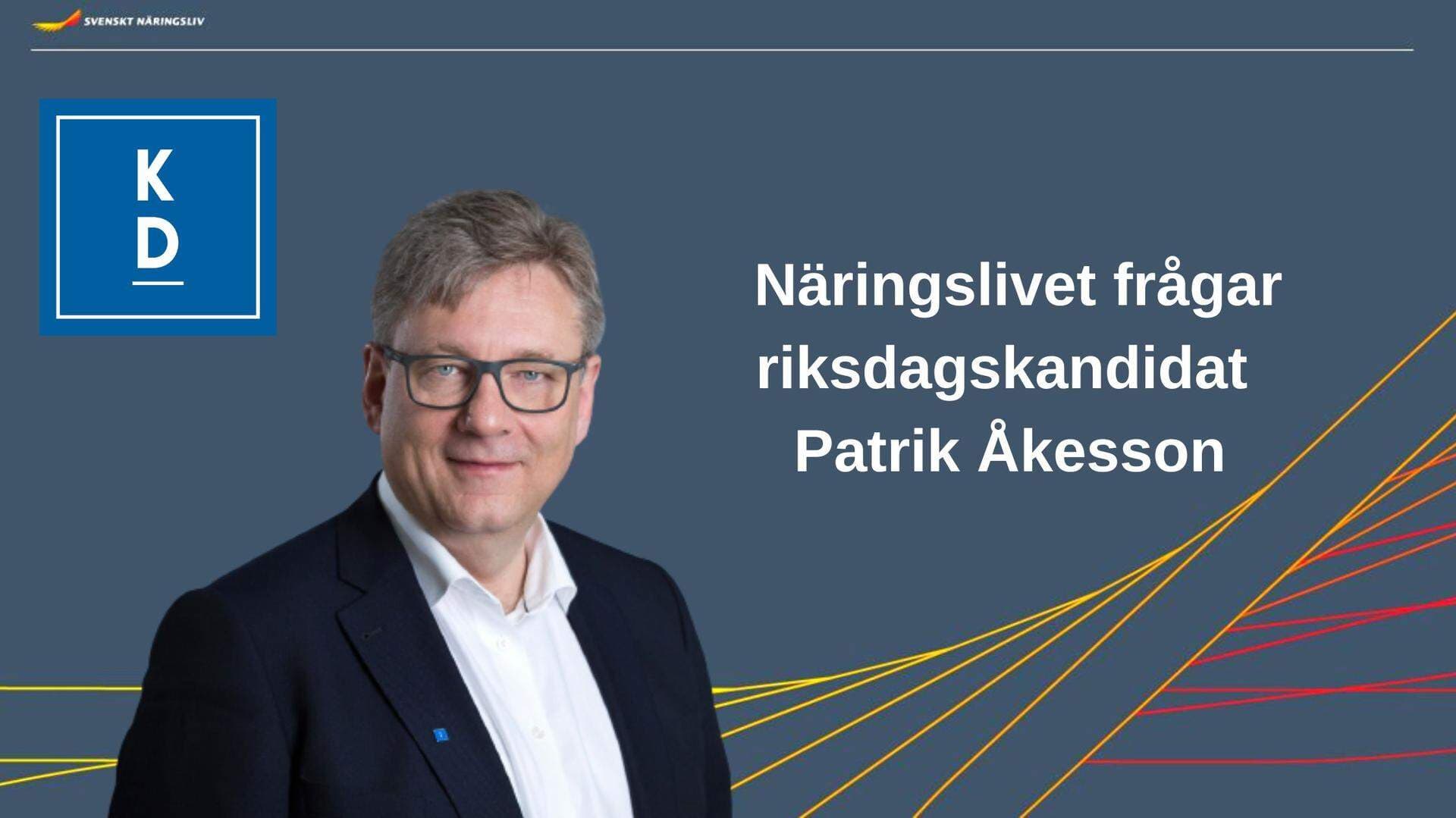 Politiker