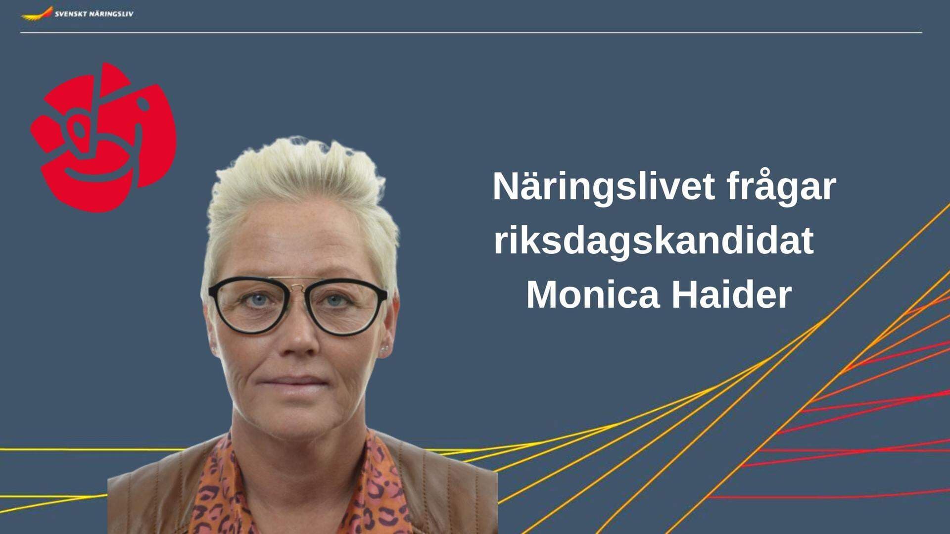 S politiker