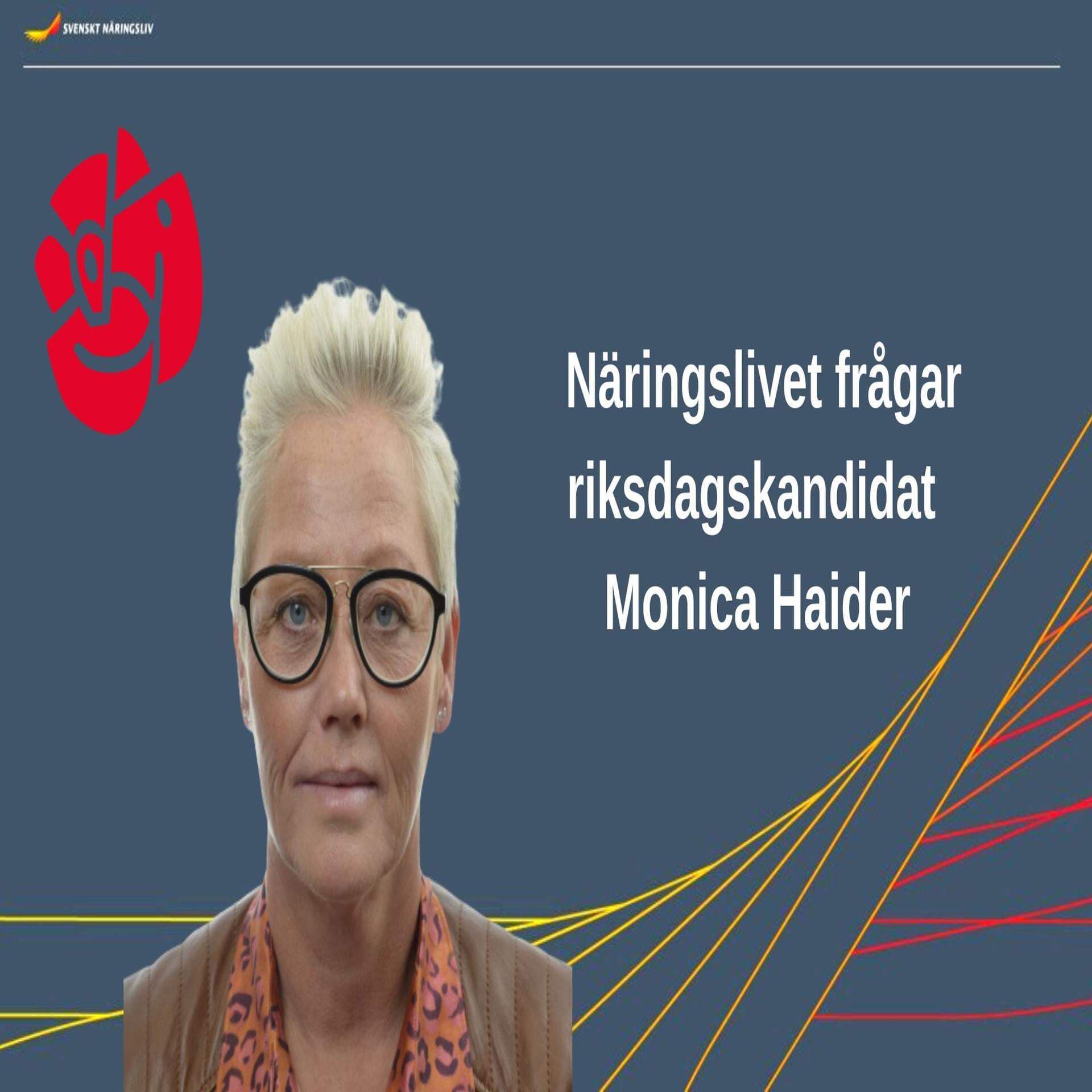 S politiker