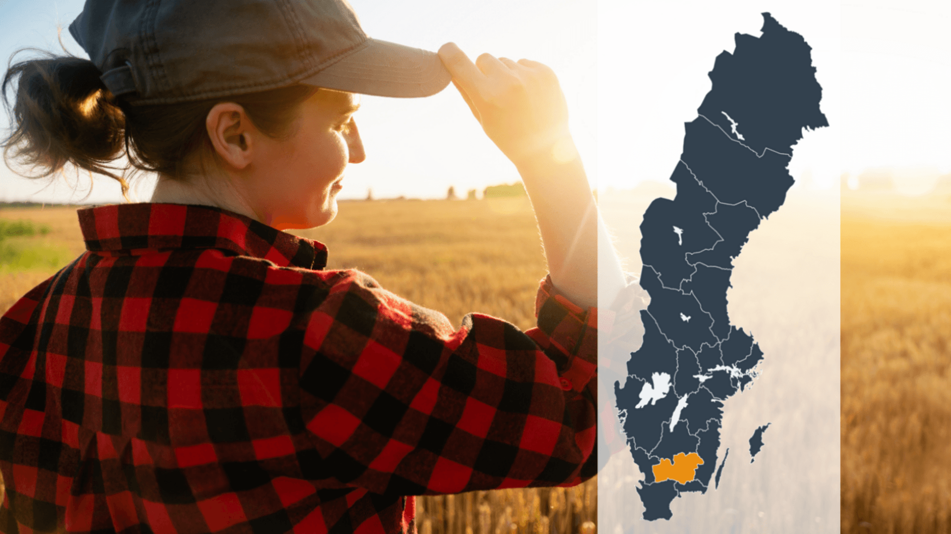Kollage av en person som blickar ut över ett gult fält tillsammans med en Sverigekarta där Kronobergs län är markerat