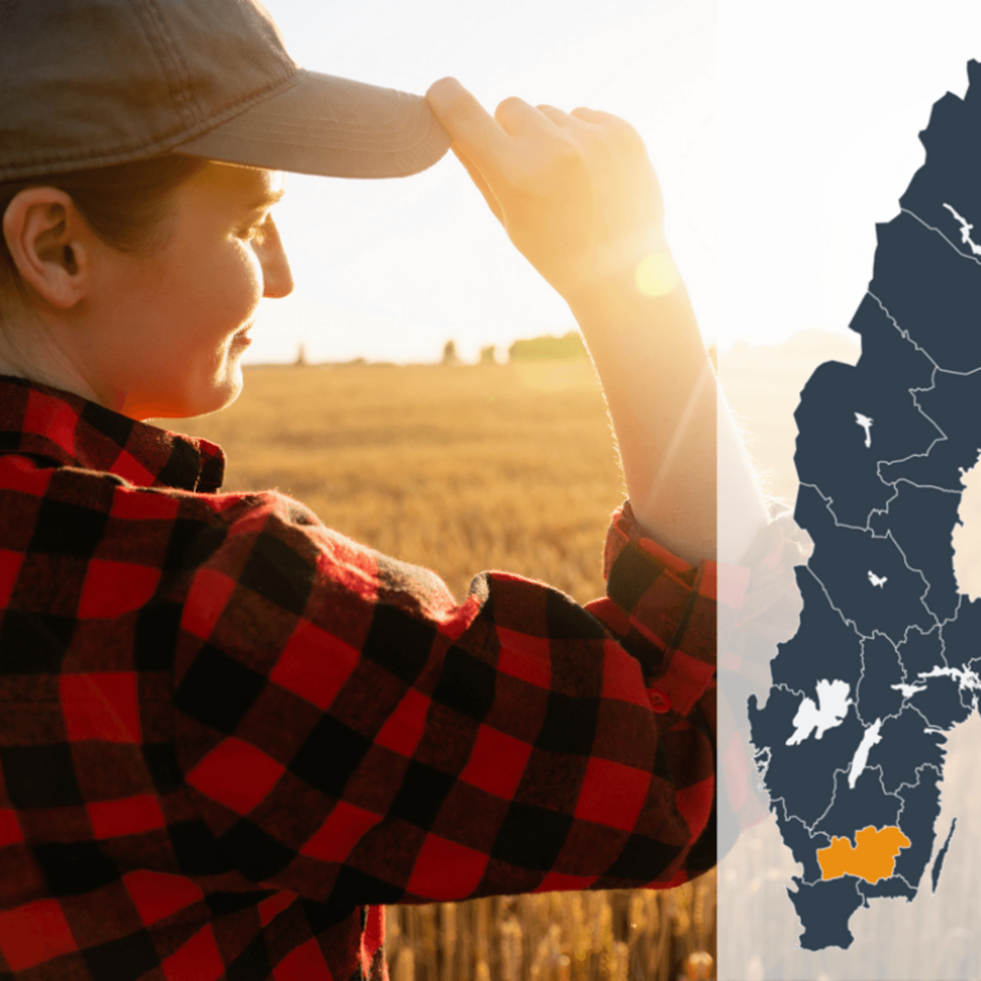 Kollage av en person som blickar ut över ett gult fält tillsammans med en Sverigekarta där Kronobergs län är markerat