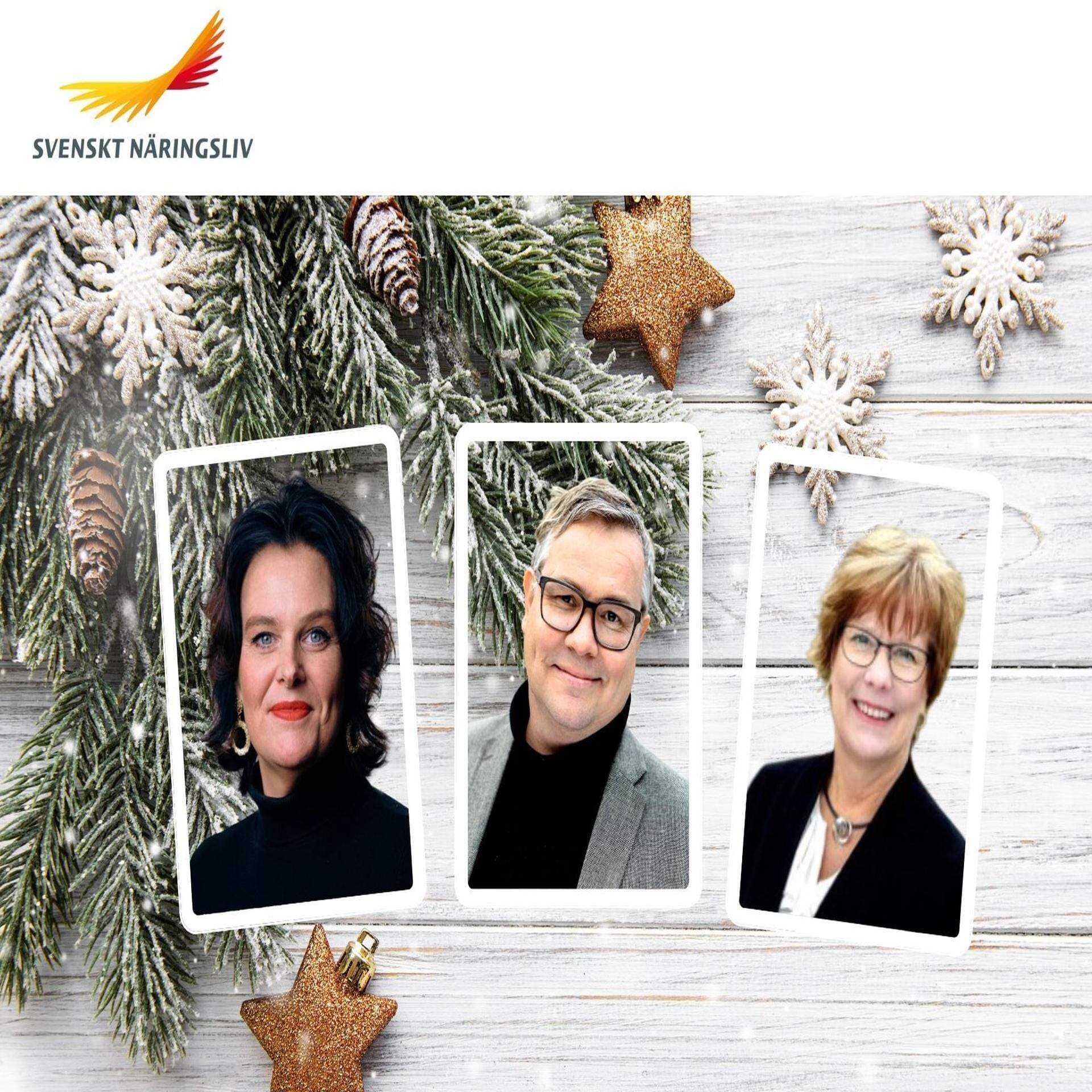 SN medarbetare julutskick