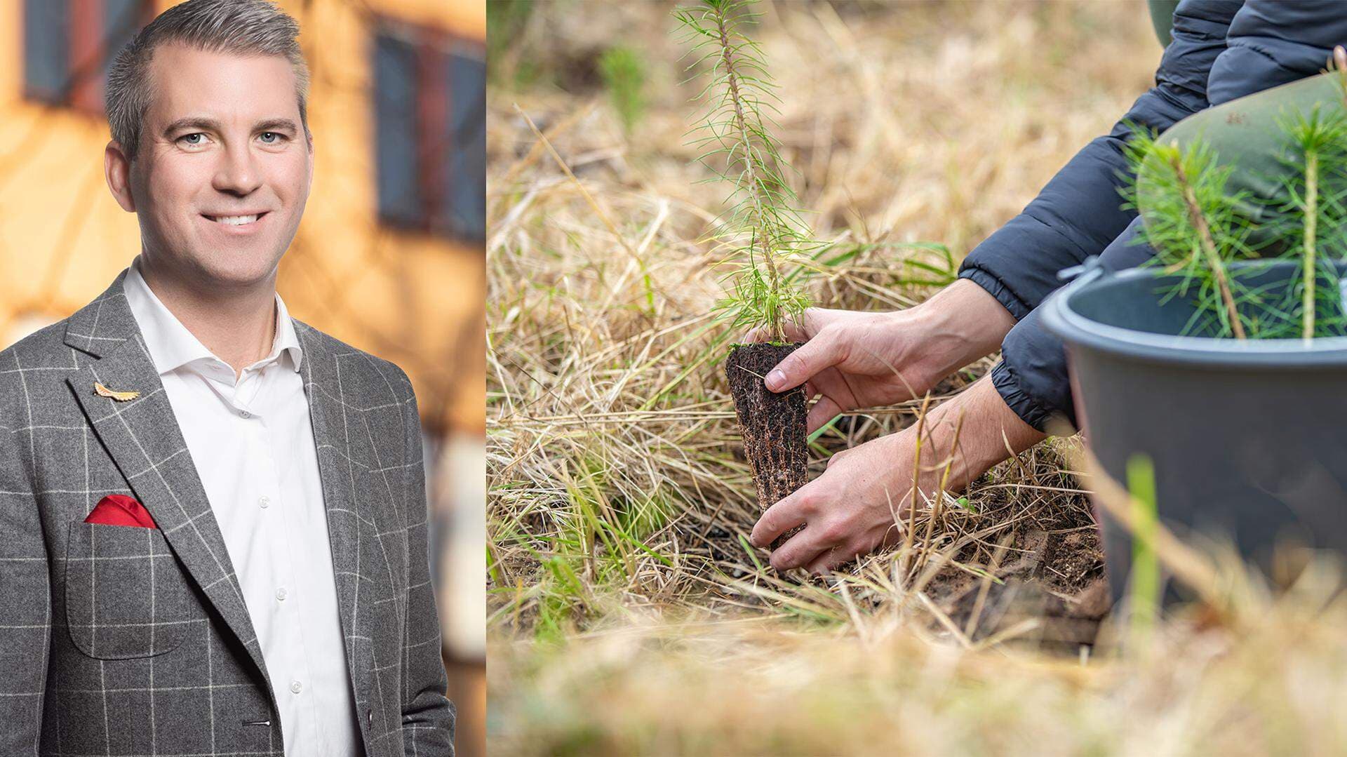 Porträtt på Karl Hultertsröm, Svenskt Näringsliv och bild på plantering av skogsplantor