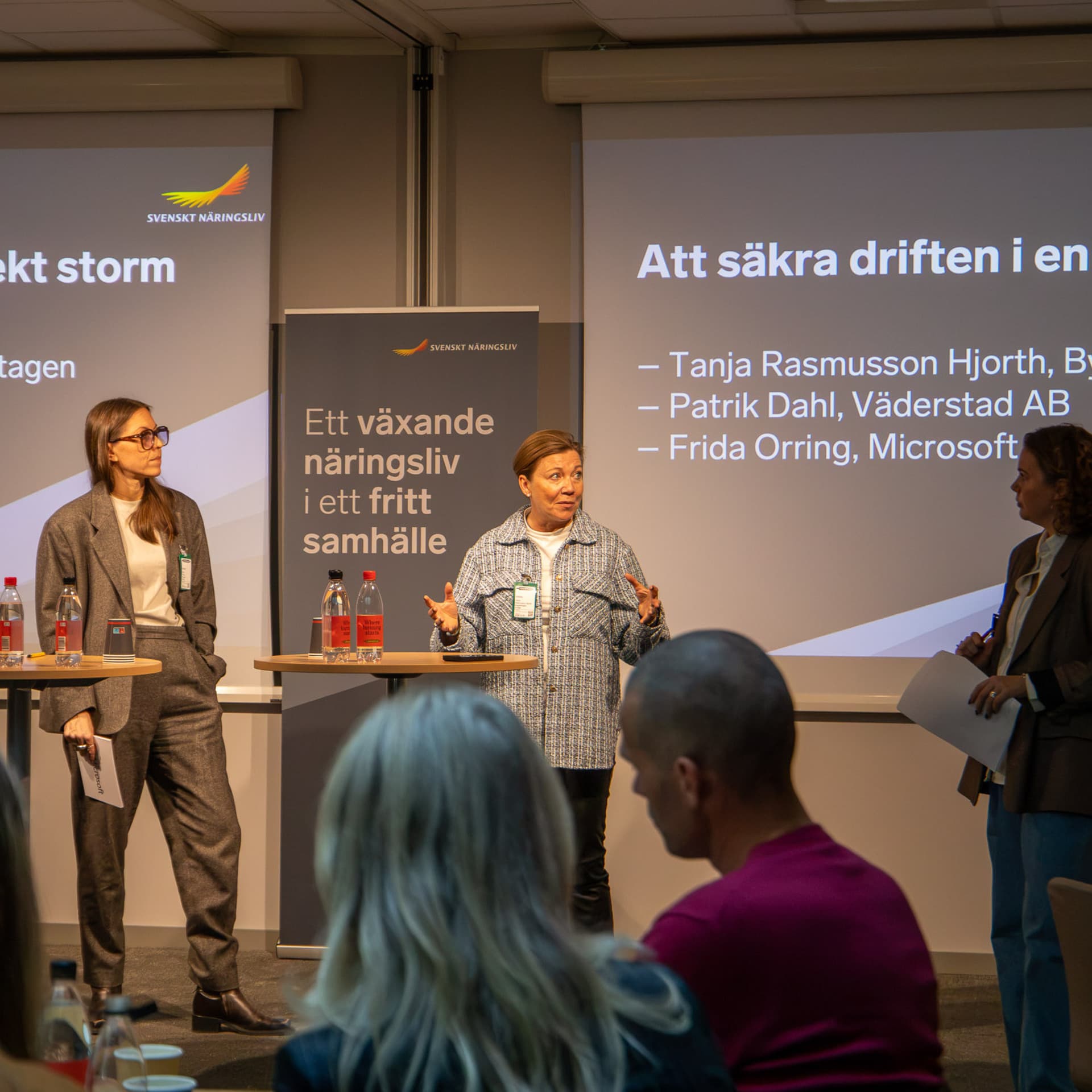 SNSD Sydöst möte om ekonomisk krigföring