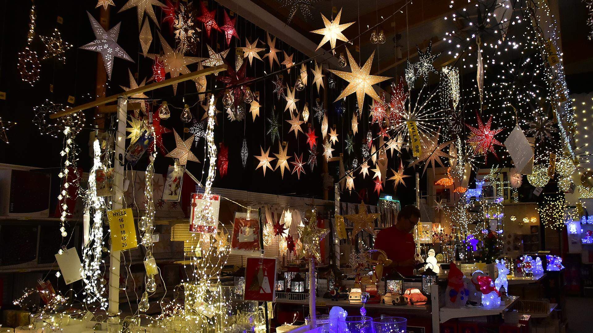 adventsstjärnor