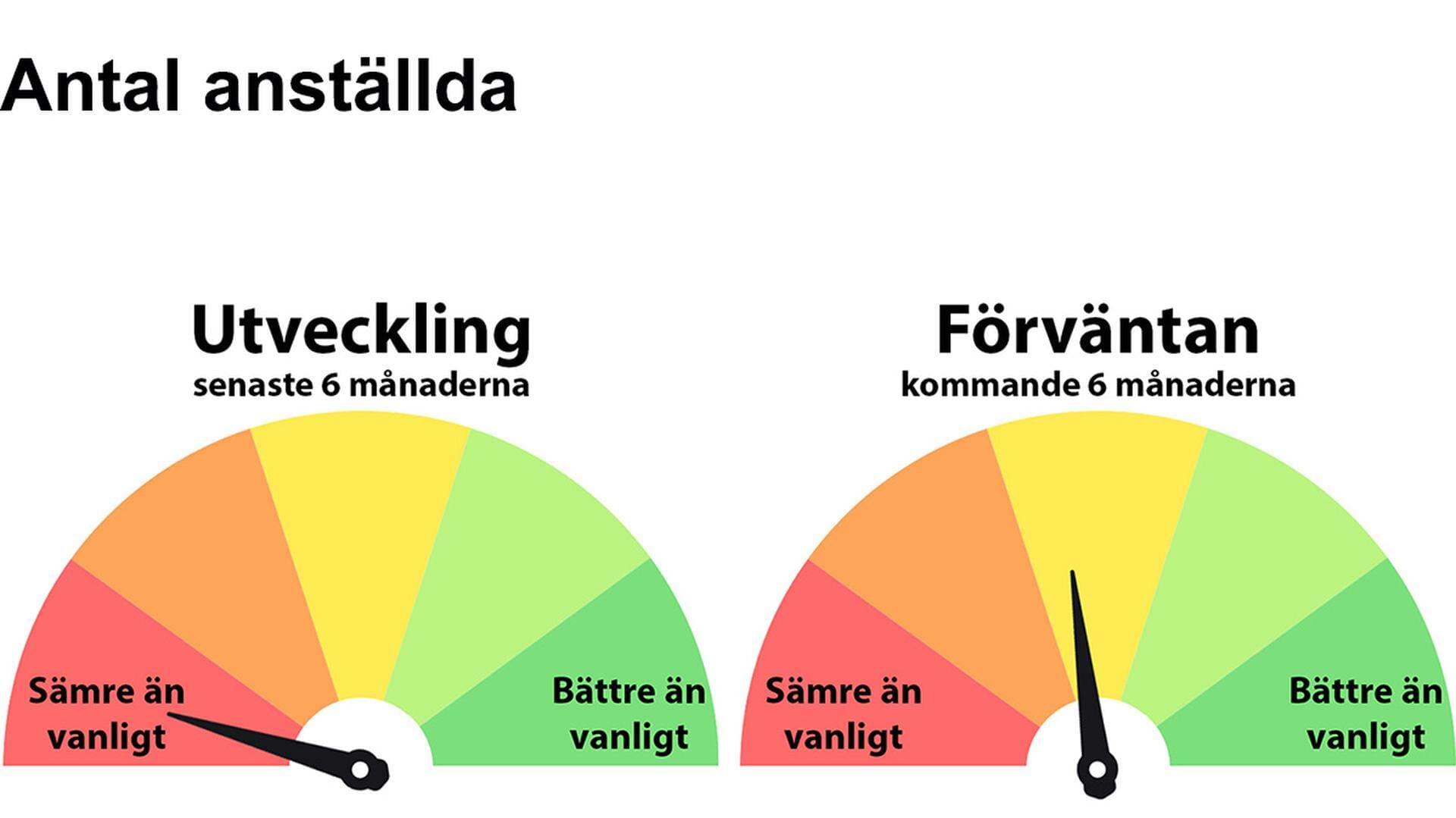 Diagram/mätare över antal anställda, utveckling och förväntan