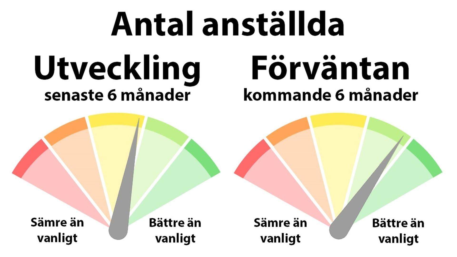 Två diagram över förväntan och utveckling av antal anställda