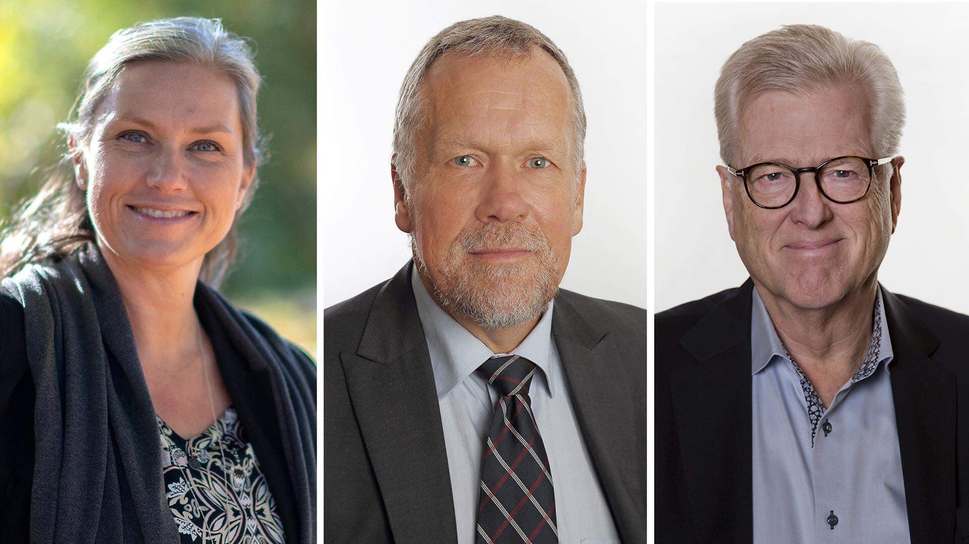 Anna Nilsson Lars-Åke Ståhl Lars Johnson