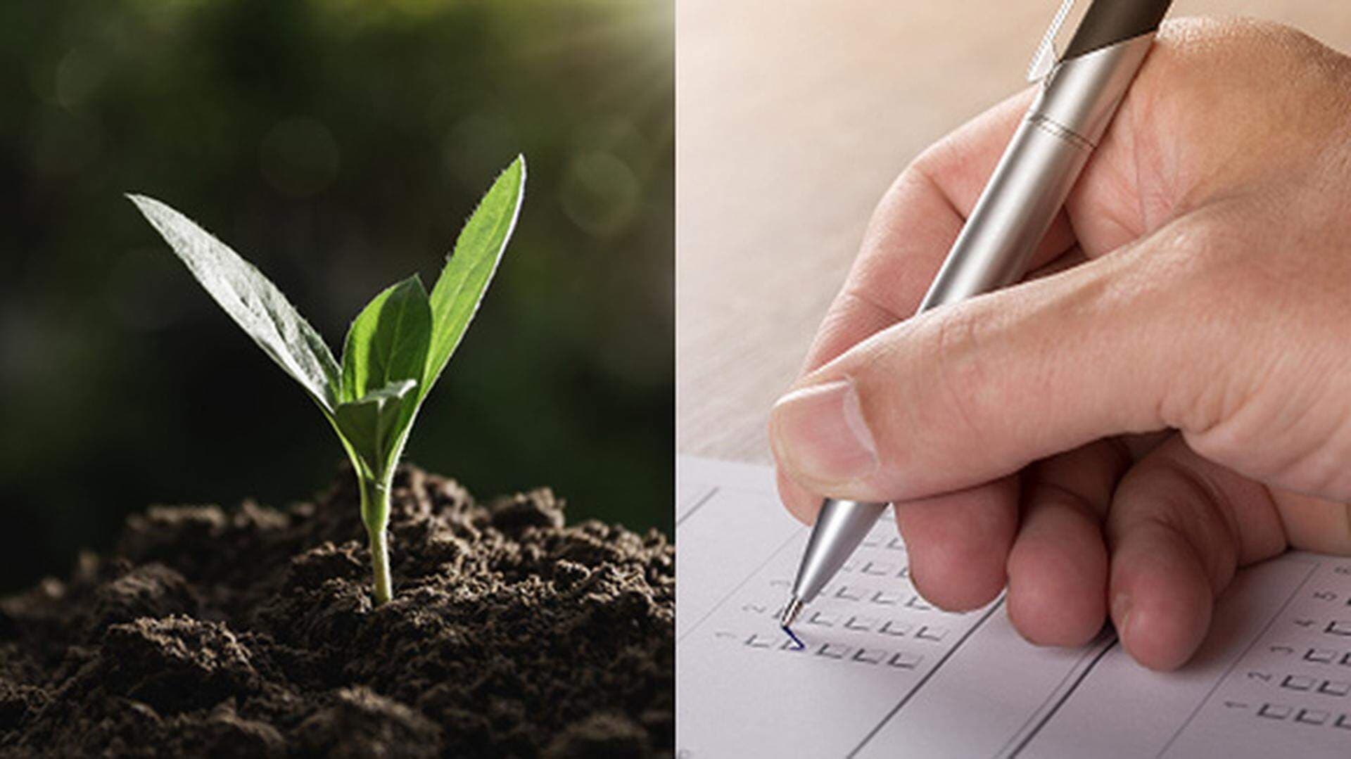 Grön växt i kollage med hand som fyller i en enkät