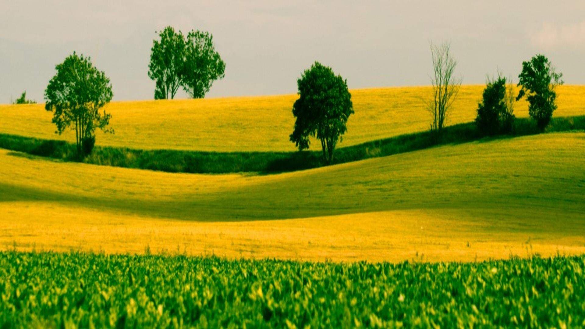 Landskapsbild från Svedala