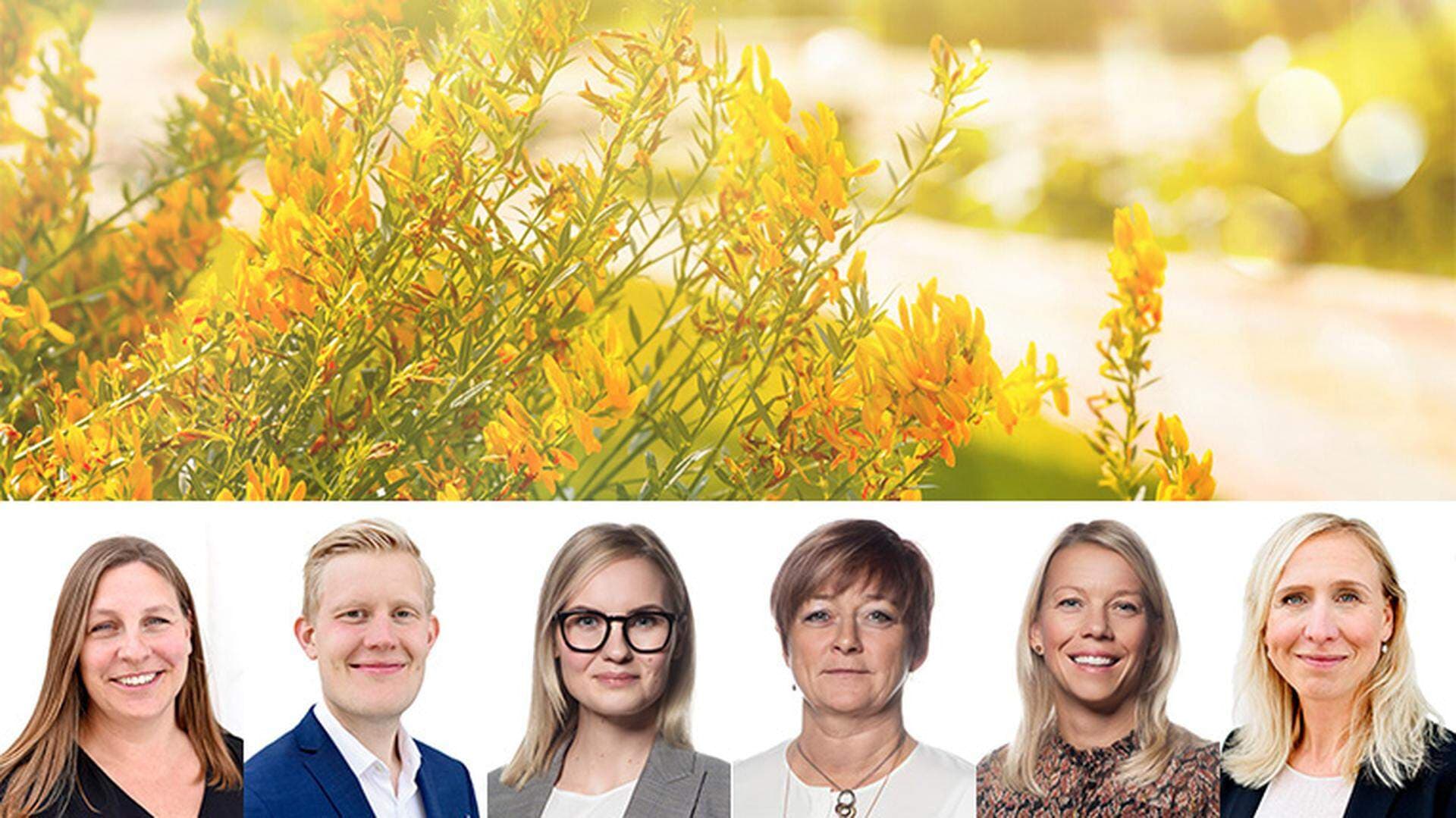 Sophie Ståhle, Erik Hultgren, Ellen Dahl, Carina Centrén, Carola Netterlid och Kristina Björkander.