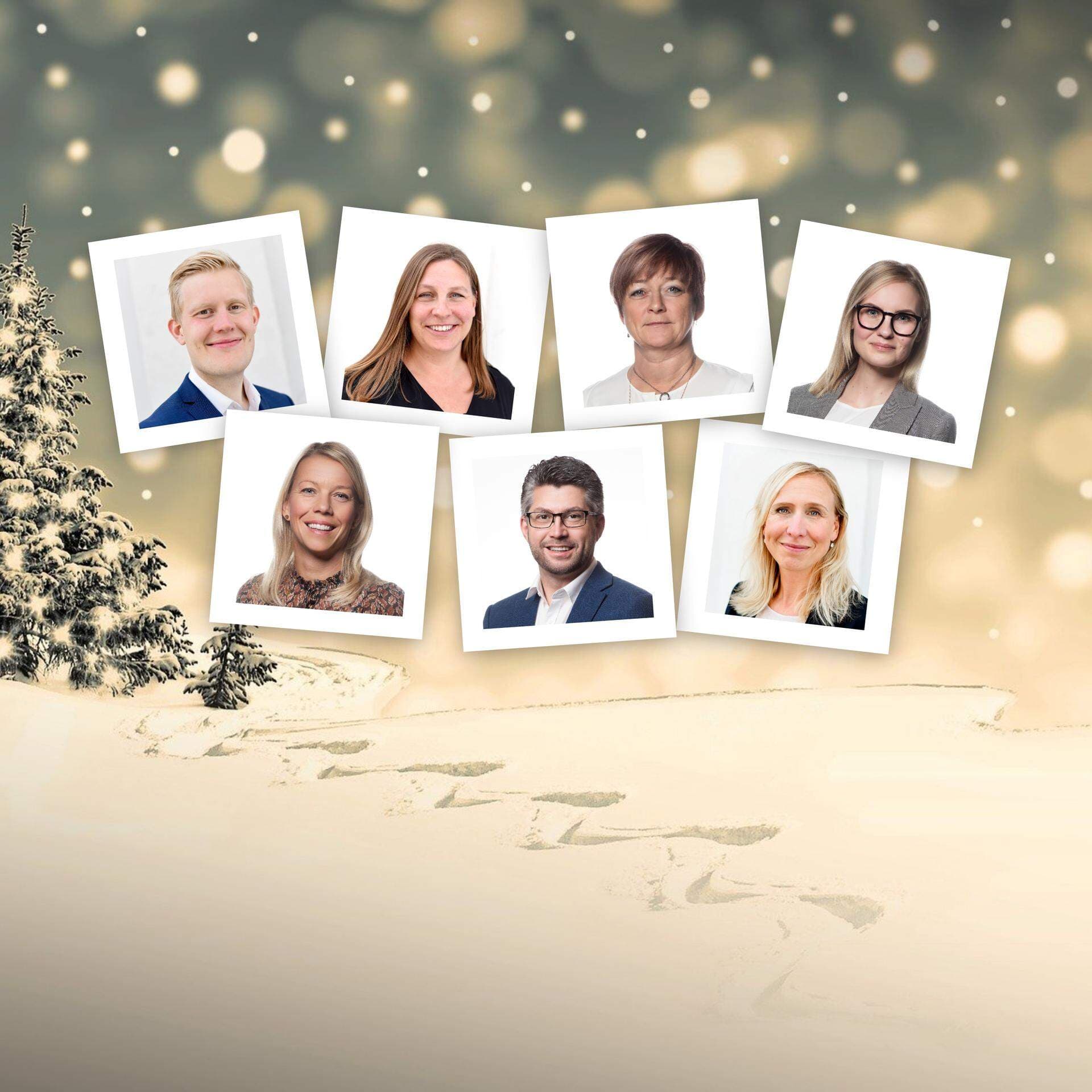 rik Hultgren, Sophie Ståhle, Carina Centrén, Ellen Dahl, Carola Netterlid, Johan Dalén och Kristina Björkander.