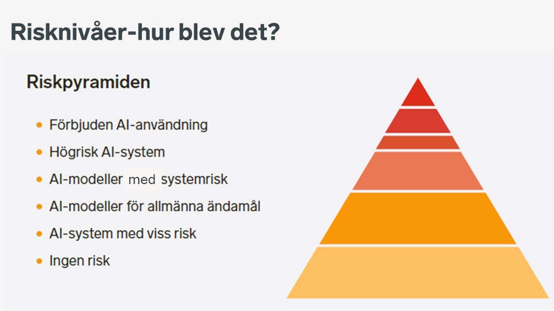 ppt-bild riskpyramid ai