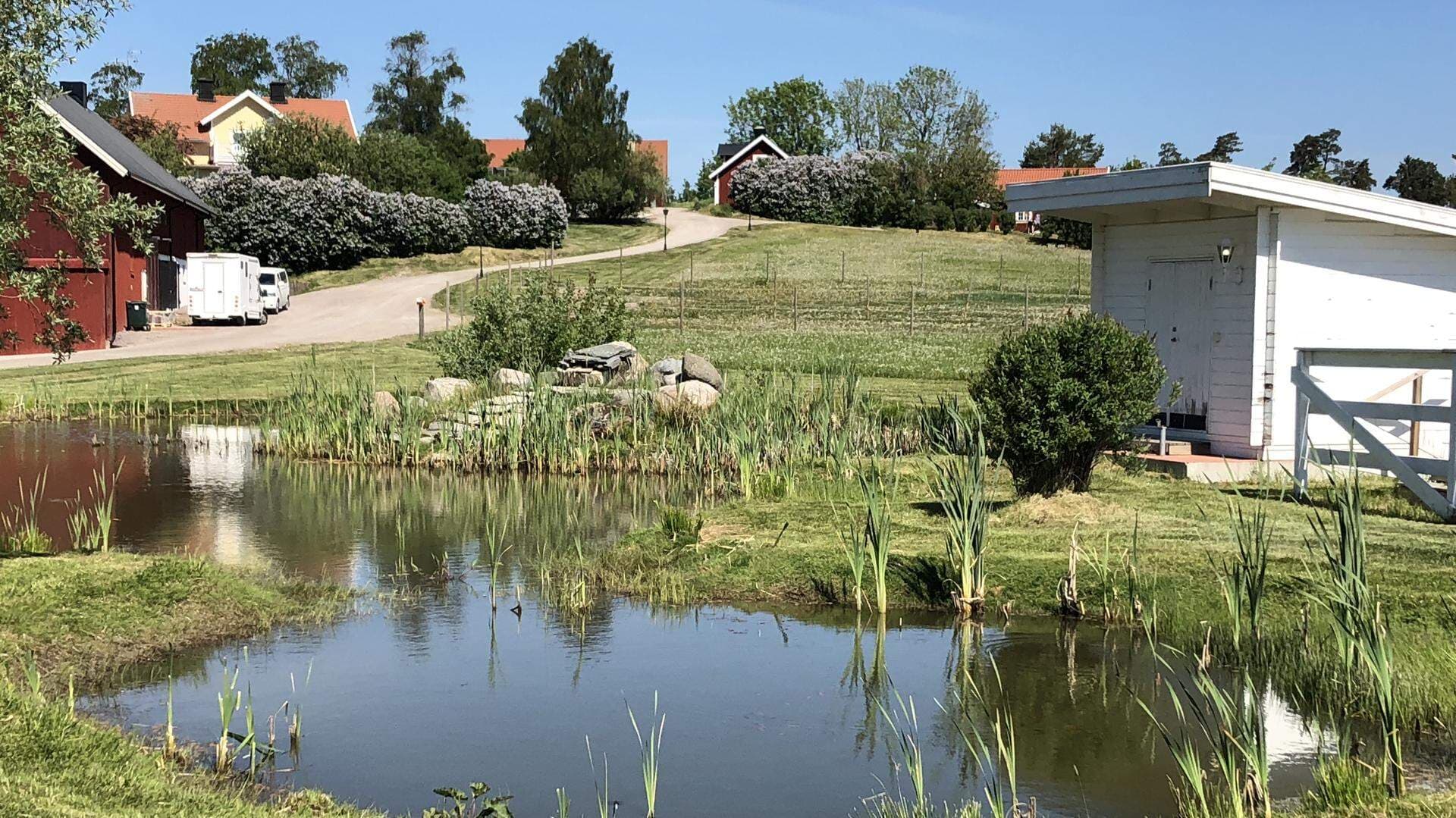 Miljöbild från Lästringe-Alma