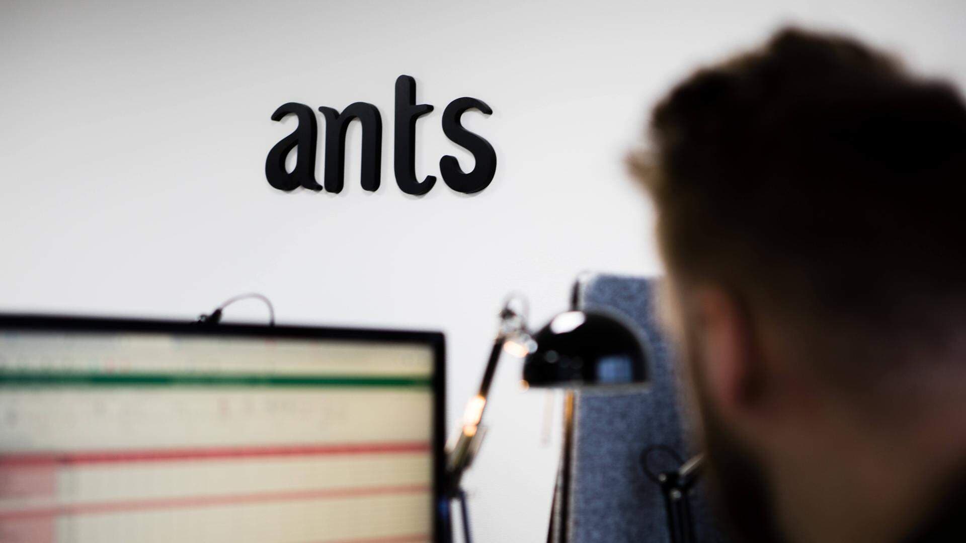 anställd på Ants vid sin dator