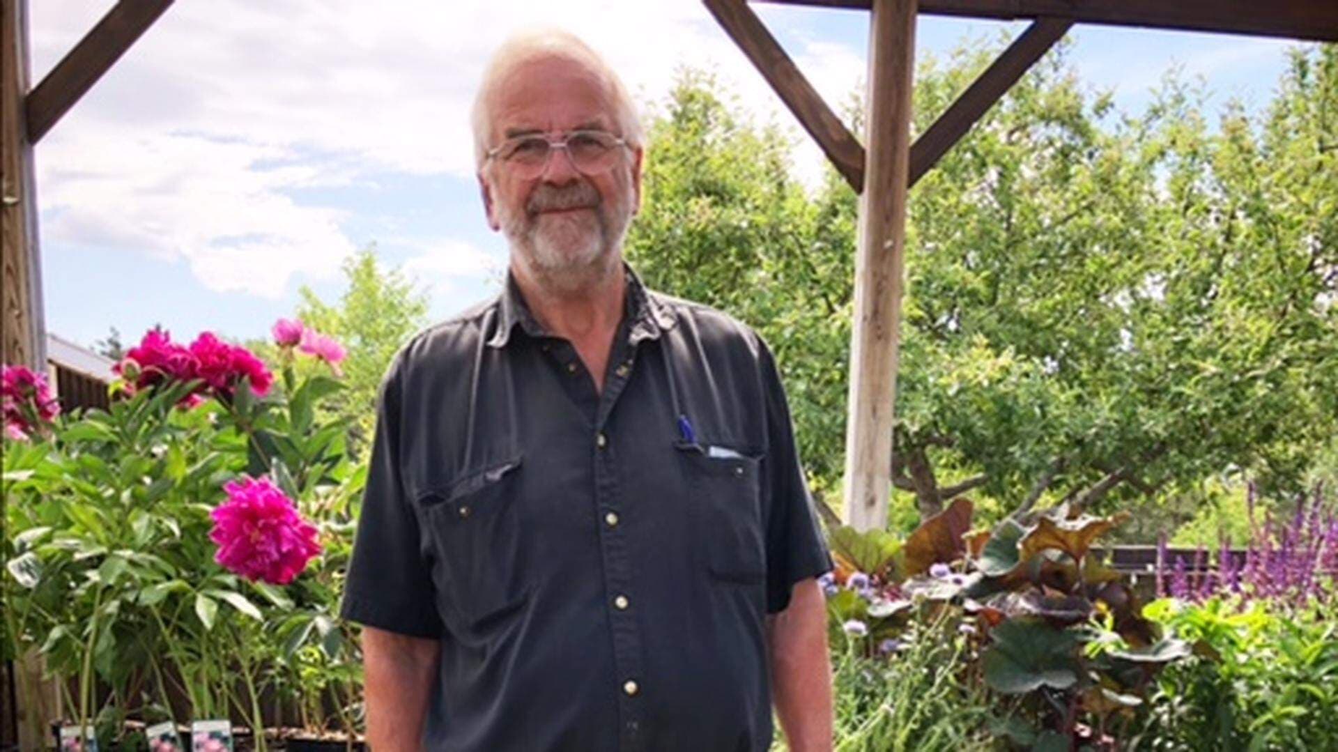 Rolf Gustafsson i sin handelsträdgård