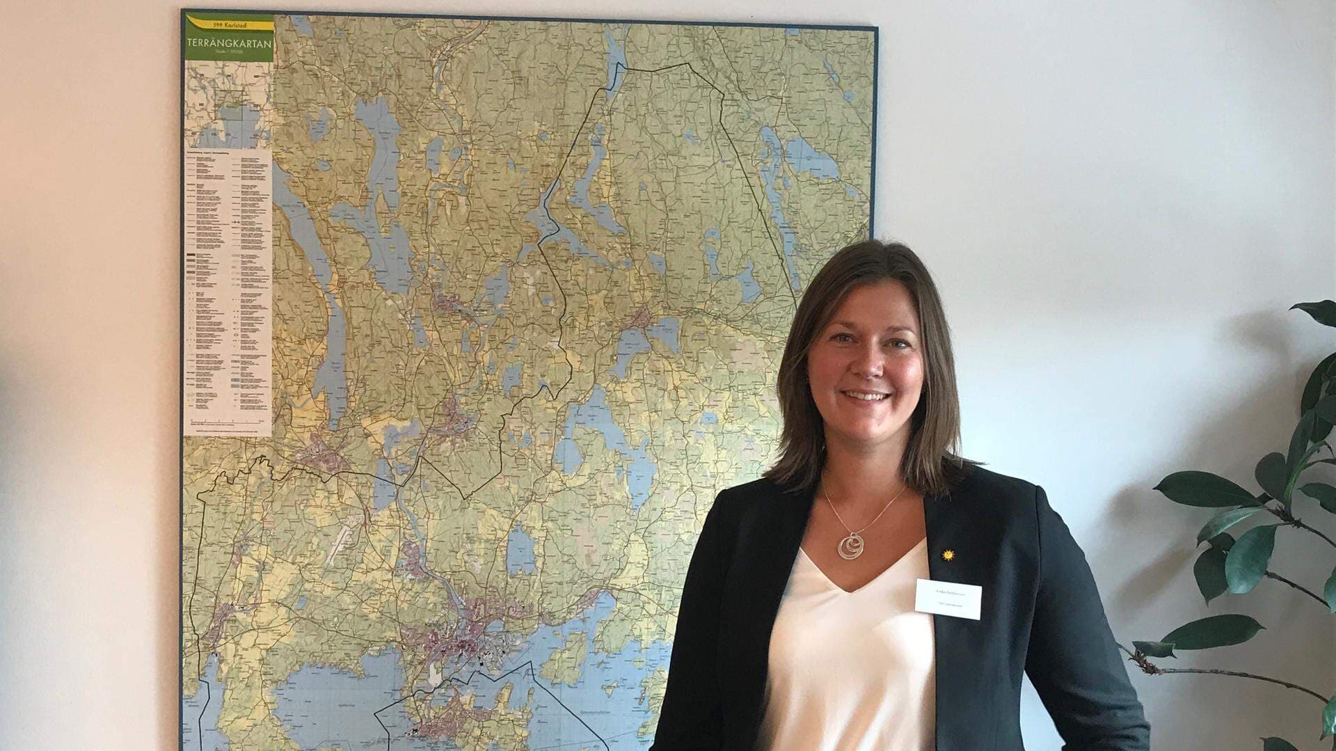 Frida Pettersson, Kommunalråd Karlstad