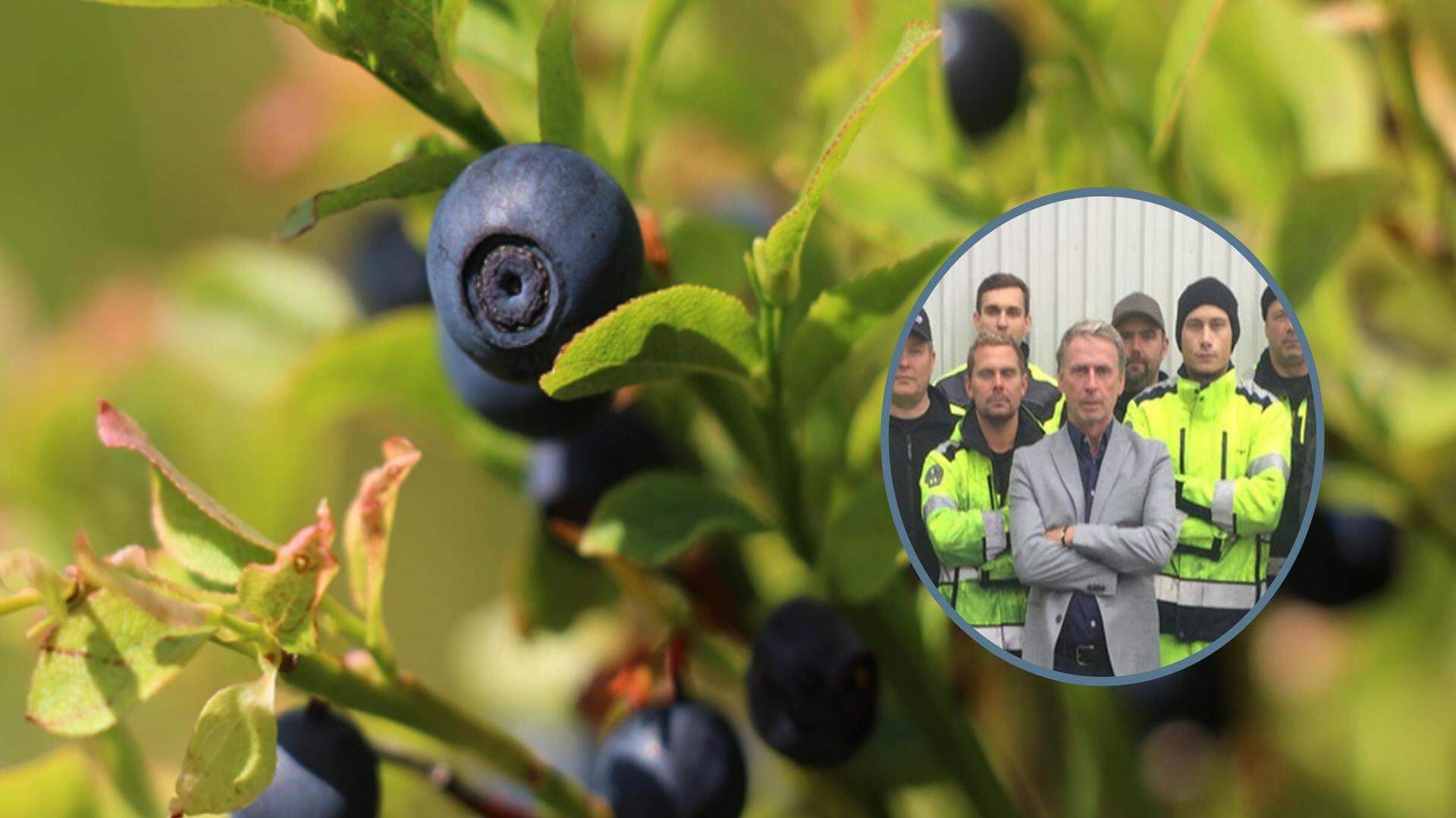 Blåbär och en inklippt bild på Ulf Hagner och delar av personalen vid Blåtand