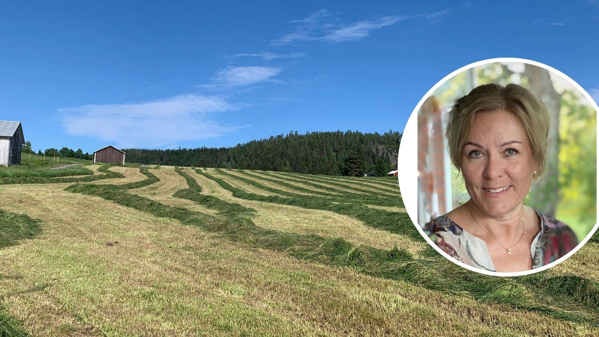 Kollage av bild på en nyslagen äng och ett porträttfoto av Anna Hedensjö Johansson