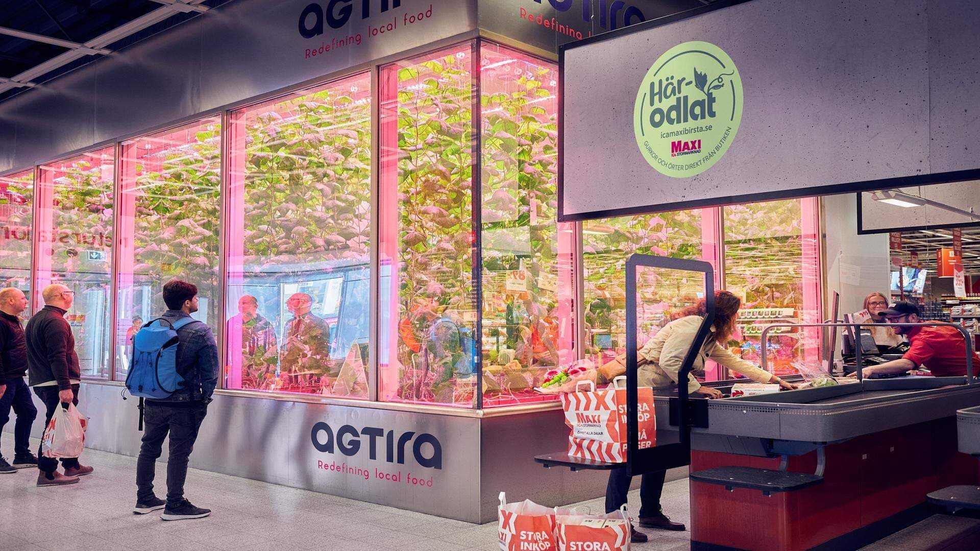 Ett växthus inne i en butik