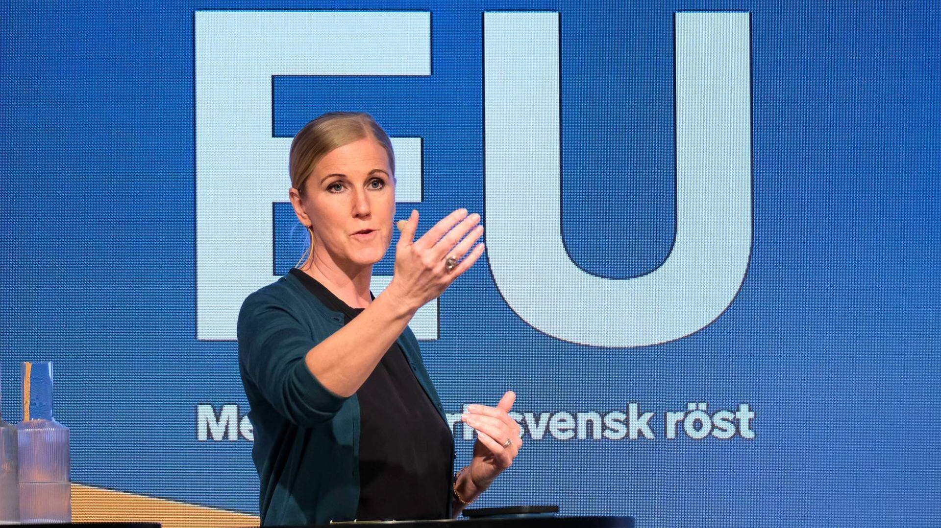 Anna Stellinger, chef för internationella och EU-frågor.