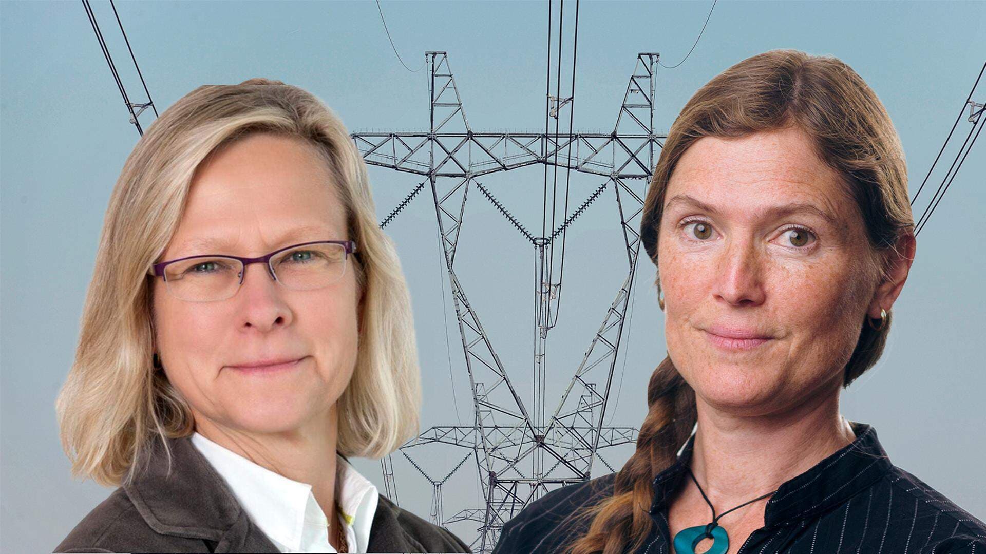 Michelle Tun von Gyllenpalm, expert på energipolicyområdet, och Paola Zetterberg, inköpsansvarig på stålföretaget Ovako.