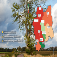 Ny ranking: så betygsätter företagen kommunerna i Västmanland