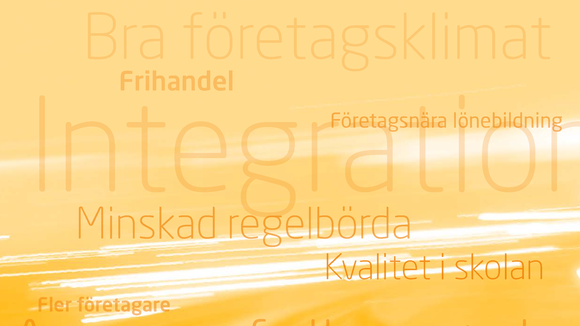 Rapportomslag