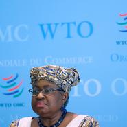 WTO-möte: Företagen en kraft att räkna med 