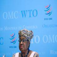 WTO visar livstecken
