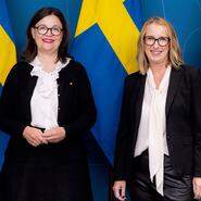Hon ska utreda yrkeshögskolan