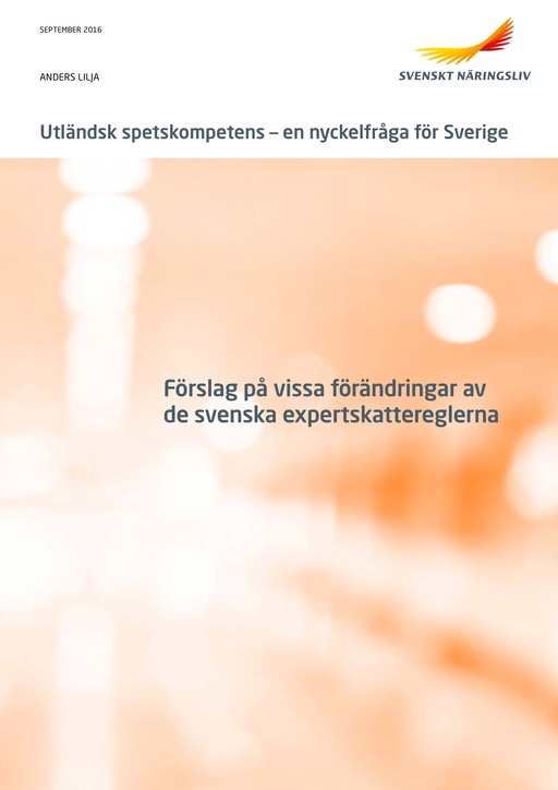 Utlandsk_spetskompetens.pdf.png