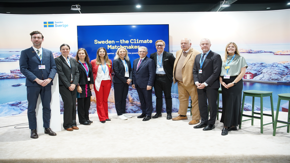 COP29