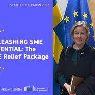 EU-kommissionens småföretagarpaket lämnar mycket att önska