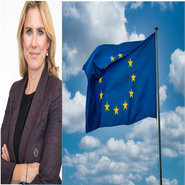 A call for Pragmatism in European Works Council Directive Revisions