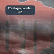 Ny företagarpanel: Företagen i Värmland mer pessimistiska inför framtiden