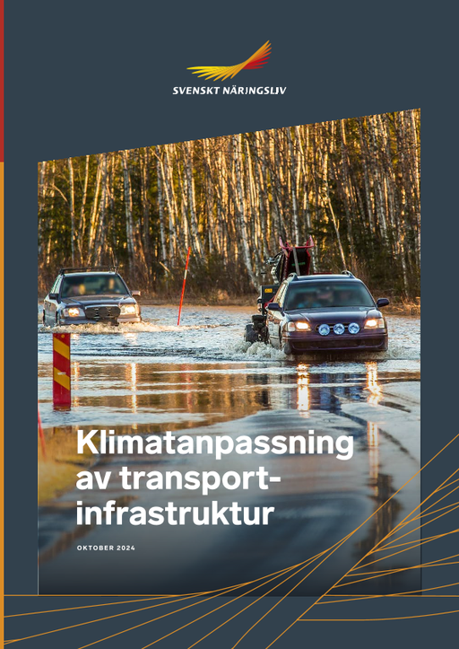 Omslagsbild - Rapport