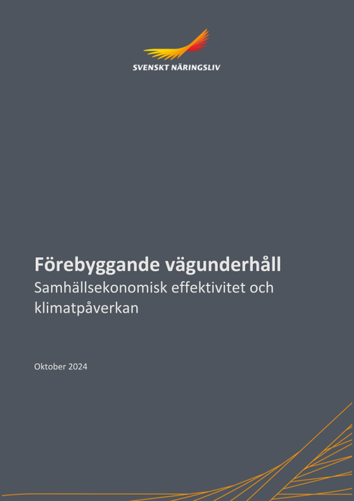 Omslagsbild - Rapport